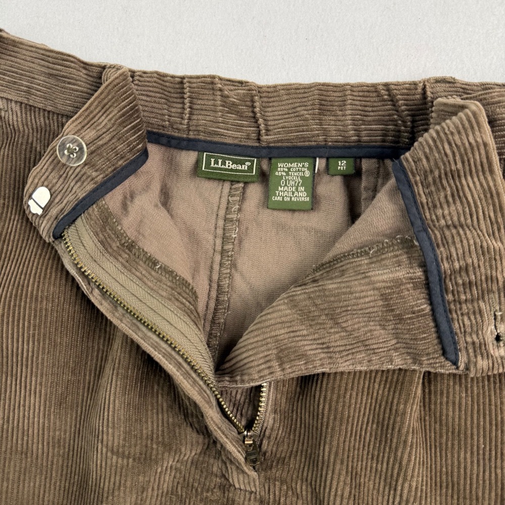 LL Bean Brown Corduroy Maxi Skirt Womens 12 Petite Wide Wale Cotton Tencel UH77 - Picture 5 of 7